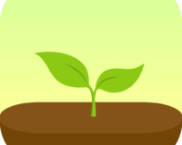 forest-icon